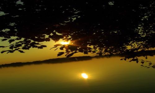 Zdjęcie POLSKA / Mazury / Okolice Wilkas / Zachód