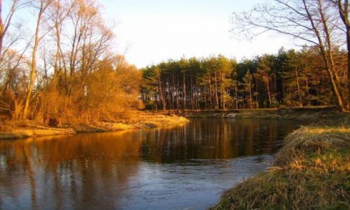 Zdjęcie POLSKA / brak / Okolice Drzewicy / Drzewiczka