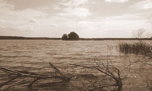 Zdjęcie POLSKA / brak / Lubliniec / Staw