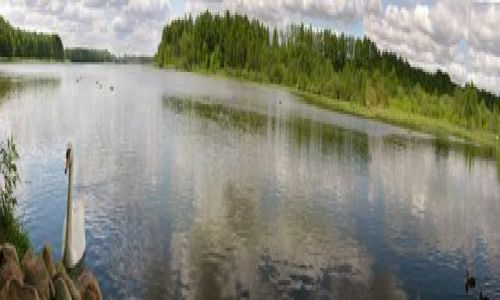 Zdjecie POLSKA / Wielkopolska / Karpicko / Panorama