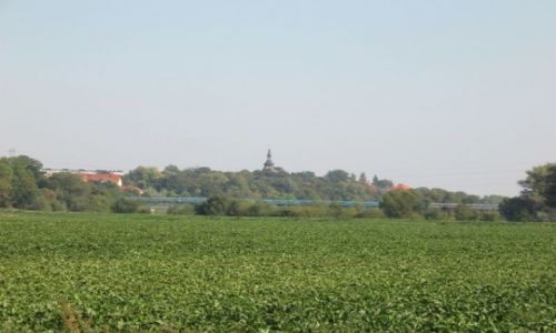 Zdjecie POLSKA / sląsk opolski / Krapkowice i okolice / jesienne wędrówki