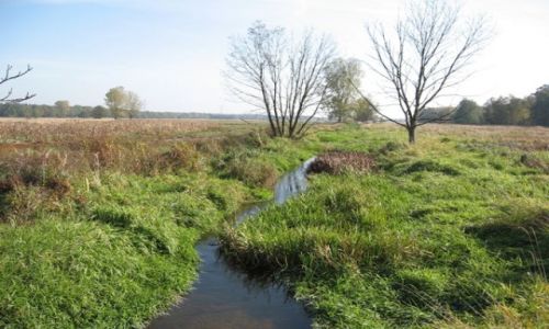 Zdjecie POLSKA / sląsk opolski / Krapkowice i okolice / jesienne wędrówki