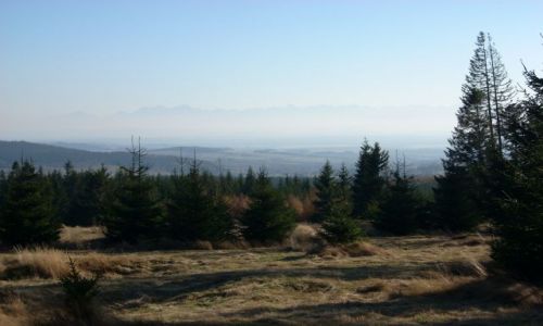 Zdjecie POLSKA / Beskid Żywiecki / Zawoja / Widok na Tatry.