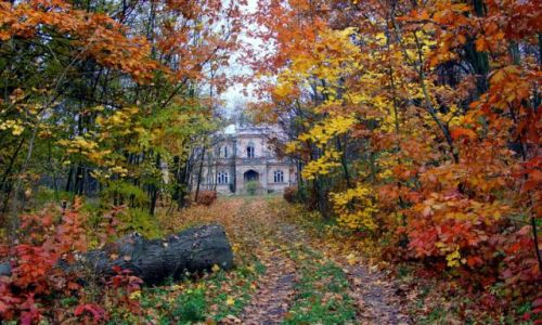 Zdjęcie POLSKA / brak / Dworek w Cisiu k.Siedlec / Jesien na Podlasiu 3