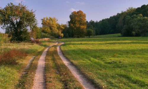 Zdjecie POLSKA / brak / Mieżwice nad BUGIEM / Nad Bugiem