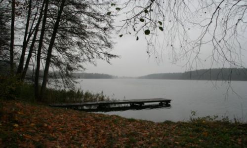 Zdjęcie POLSKA / mazury / wikno / wikno