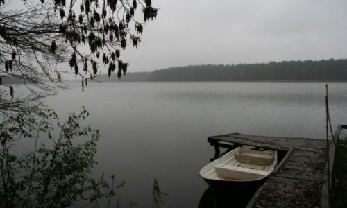 Zdjęcie POLSKA / mazury / wikno / jesien na mazurach