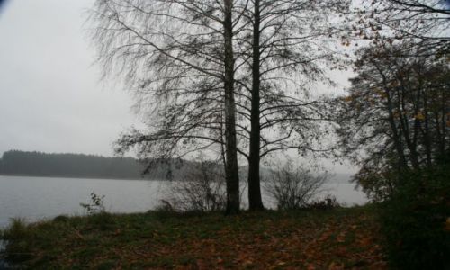 Zdjęcie POLSKA / mazury / wikno / jasien 2