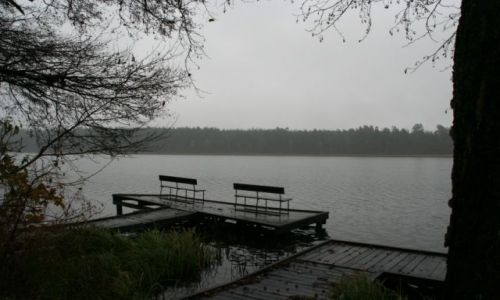 Zdjęcie POLSKA / mazury / wikno / jesienna samotność