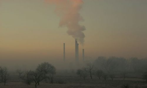 Zdjęcie POLSKA / Mazowsze / Siekierki / Industrialna natura.