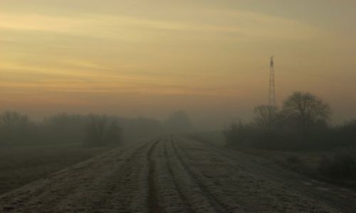Zdjęcie POLSKA / Mazowsze / Siekierki / W drodze do pracy.
