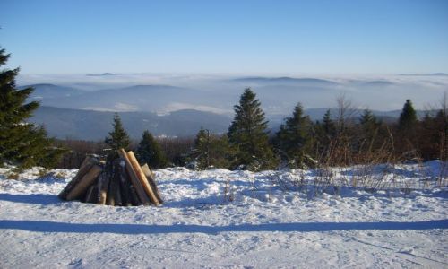 Zdjęcie POLSKA / Jaworzyna Krynicka / Jaworzyna Krynicka / Jaworzyna- zima 2009