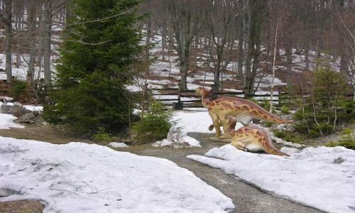 Zdjecie POLSKA / brak / okolica Lądka Zdrój / Dinozaur