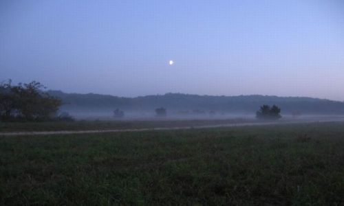 Zdjecie POLSKA / Zachodniopomorskie, powiat policki / za gazowią / W tej mgle (jeszcze raz )