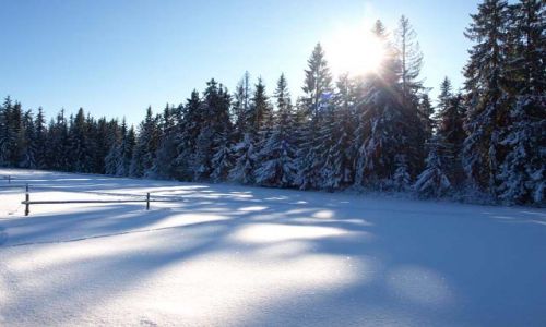 Zdjecie POLSKA / Tatry / Czerwienne k/Zakopanego (Bachledwka) / Polska Zima
