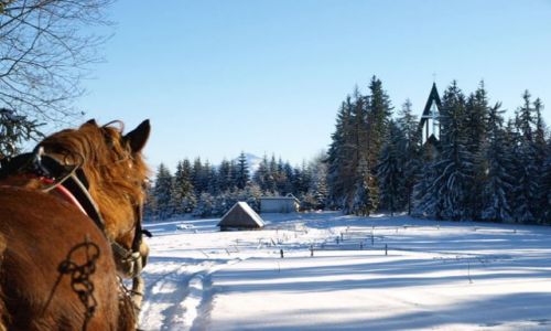 Zdjecie POLSKA / Tatry / Czerwienne k/Zakopanego (Bachledwka) / Polska Zima