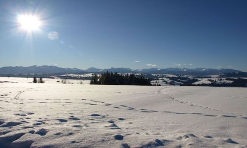 Zdjecie POLSKA / Tatry / Czerwienne k/Zakopanego  / Polska Zima