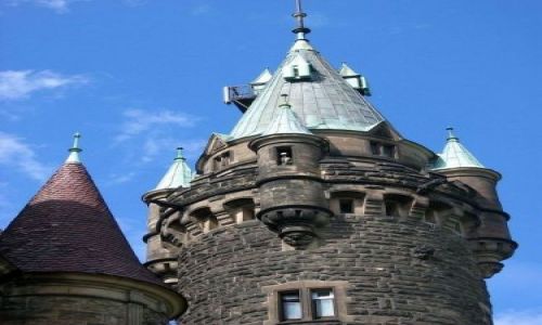 Zdjecie POLSKA / brak / Moszna / Ona też czeka na Walentynke