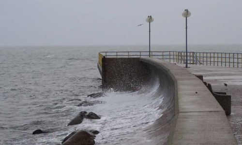 Zdjecie POLSKA / brak / Gdynia / Senno