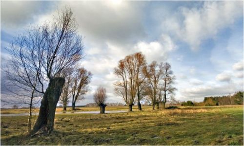 Zdjecie POLSKA / podlasie / okolice Kotunia / Podlaskie klimaty 4