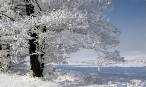 Zdjecie POLSKA / podlasie / okolice Winiewa / Podlaskie klimaty 6
