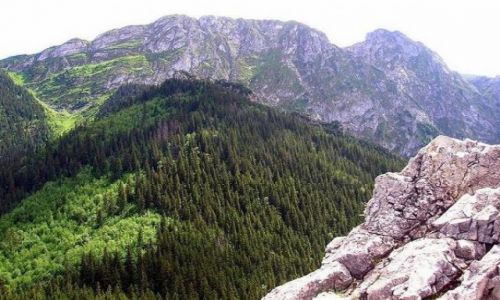 Zdjecie POLSKA / brak / Zakopane / Symbol Tatr Polskich