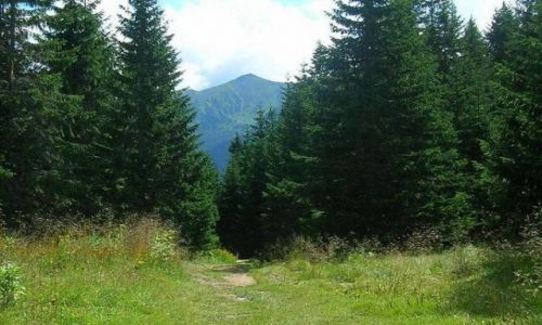 Zdjecie POLSKA / brak / Tatry -  Iwanicka Przełęcz / Tatry Zachodnie