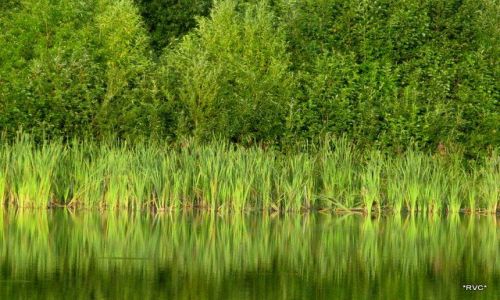 Zdjęcie POLSKA / mazury / jezioro Hancza / jeziorko3