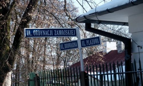 Zdjecie POLSKA / Lubelszczyzna / Ulice ze Szlacheckim odgłosem / Zwierzyniec- Piękno Roztocza