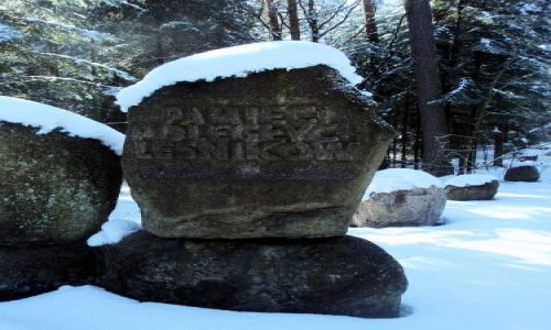 Zdjęcie POLSKA / Lubelszczyzna / Zwierzyniec- Park- Pomnik / Zwierzyniec- Piękno Roztocza