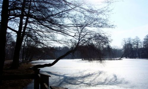 Zdjęcie POLSKA / Lubelszczyzna / Zwierzyniec Staw z Wysepka / Zwierzyniec- Piękno Roztocza
