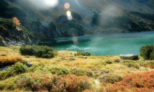 Zdjecie POLSKA / brak / Tatry / Czarny Staw