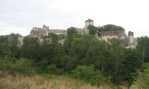 Zdjcie POLSKA / maopolska / tenczyn / tenczyn