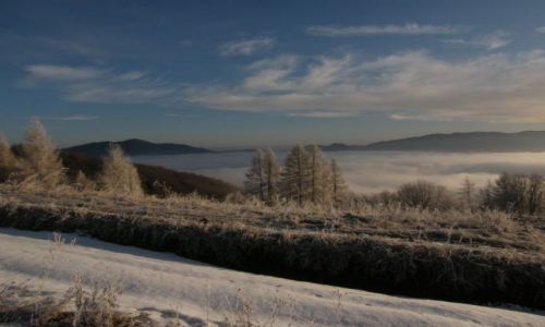 Zdjcie POLSKA / Gorce / masyw Lubania / zima w Gorcach