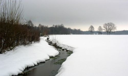 Zdjęcie POLSKA / łódzkie / ok.Pabianic / Takie sobie,zwykłe miejsce...