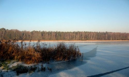 Zdjęcie POLSKA / łódzkie / ok.Pabianic / cd.tematu