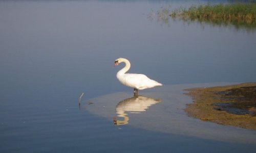 Zdjecie POLSKA / Mazury / Mazury / abdek