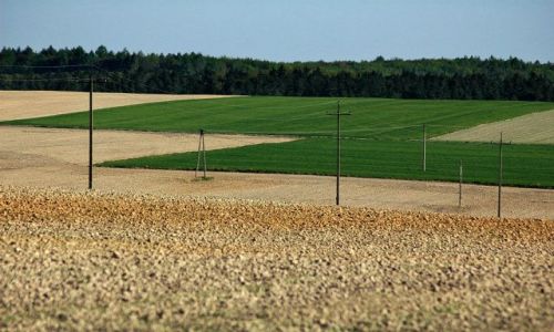 Zdjecie POLSKA / maopolskie / okolice Miechowa / geometria pl 3- polska wie:)