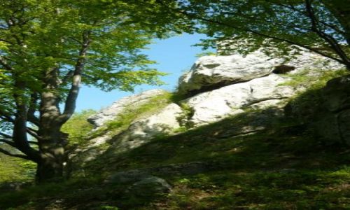 Zdjecie POLSKA / Jura krakowsko-czstochowaka / Morsko / Skaki w Morsku