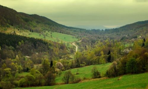 Zdjecie POLSKA / Bieszczady / Dolina Caryńskiego / Sielanka dla Beakal 2