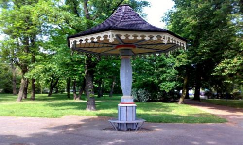 Zdjęcie POLSKA / Kujawy / park w Toruniu / Grzybek