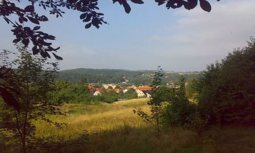 Zdjecie POLSKA / dolny lsk / Jedlina Zdrj / Jedlina-Suliszw