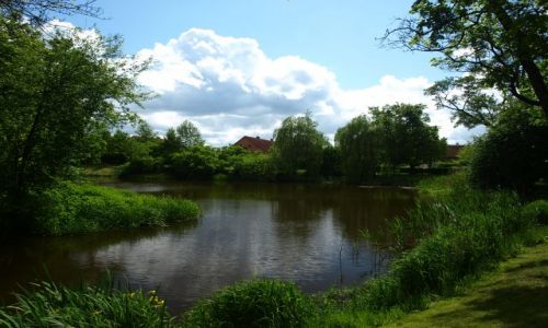 Zdjcie POLSKA / Warmia i Mazury / Galiny / w ogrodzie paacowym 