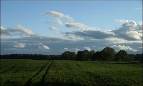Zdjcie POLSKA / Warmia i Mazury / Galiny / kto w to wjecha...