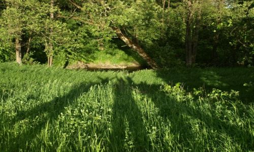 Zdjecie POLSKA / Warmia i Mazury / Galiny / pozdrowienia dla globtrotera