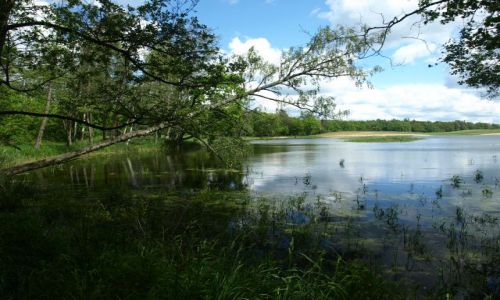 Zdjcie POLSKA / Warmia i Mazury / Galiny / przeglda si
