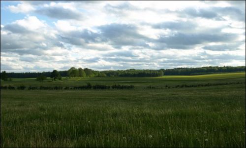 Zdjecie POLSKA / Warmia i Mazury / Galiny / widoczek
