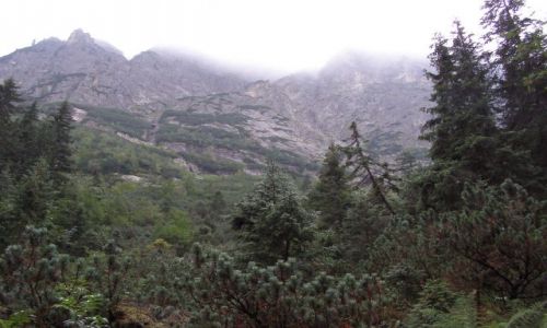 Zdjęcie POLSKA / małopolskie / Tatry - Dolina Roztoki / widok z Doliny Roztoki