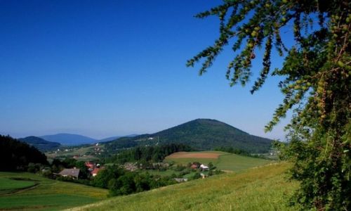 Zdjecie POLSKA / okolice Limanowej / brak / Beskid Wyspowy