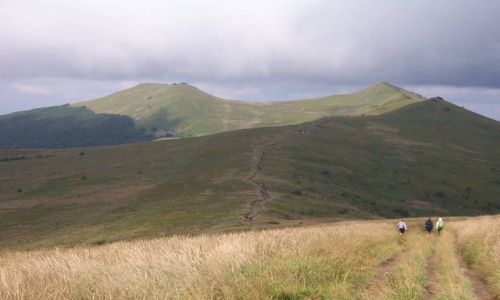 Zdjecie POLSKA / Bieszczady / Tu obok Pooniny Wetliskiej / Poonina Wetliska w sierpniowej okazaoci